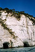 La costa cesellata di grotte create dall'erosione del calcare con anfratti; rientranze e rotture.